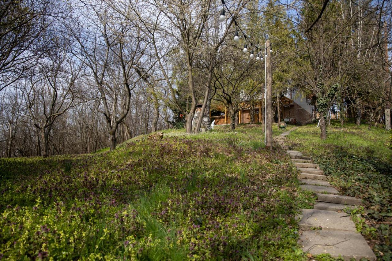 Egercottages - Csillag Cottage Bagian luar foto